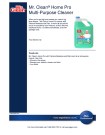 Mr. Clean® Home Pro Multi-Purpose Cleaner - Product Info Sheet